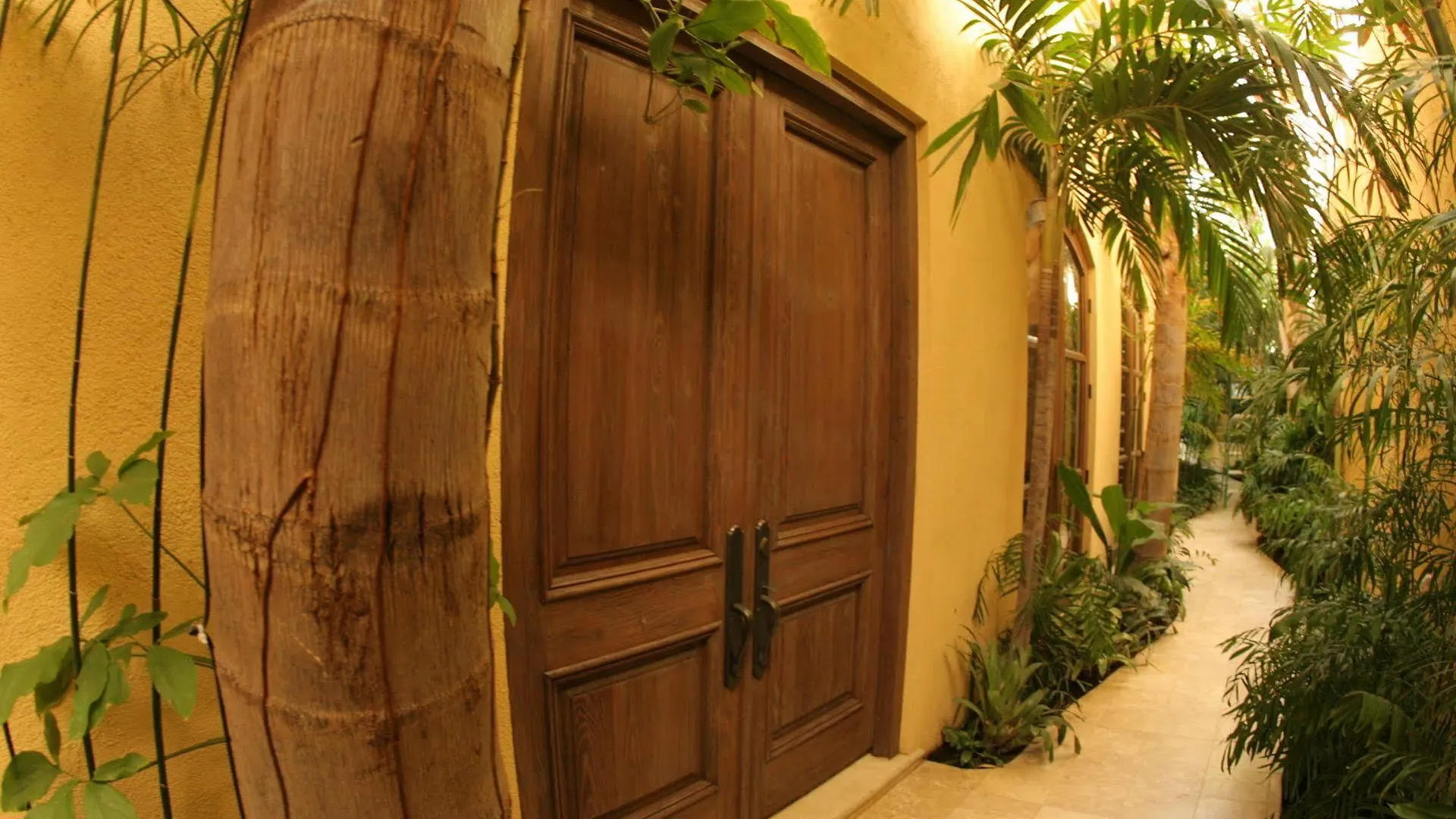Casa Brisa Del Mar Hotel Cabo San Lucas